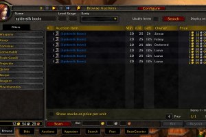 Auctioneer Auctioneer