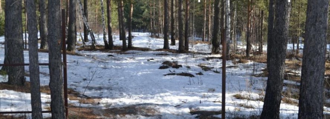 Наркозависимость стала бичом жителей Березовского Наркозависимость стала бичом жителей Березовского